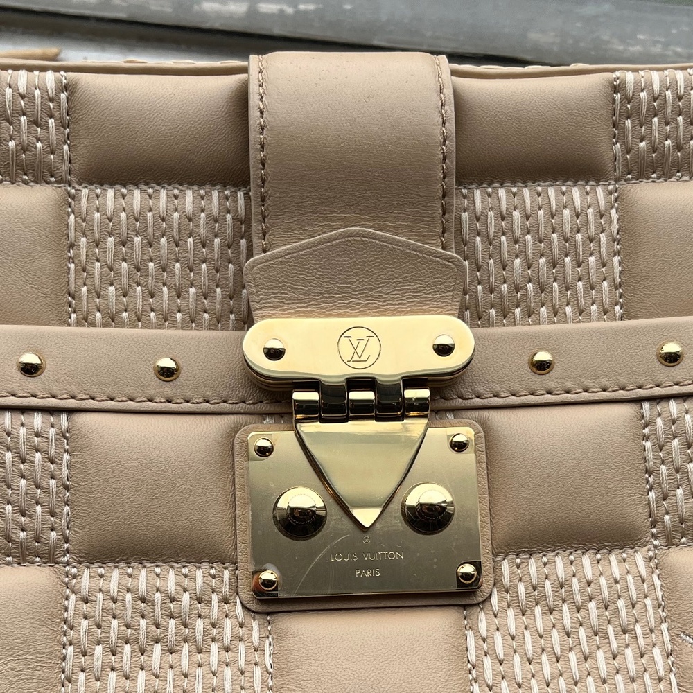 Louis Vuitton brand new purse cross body